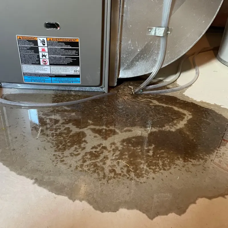 Appliance Leak Cleanup in Weaverville, NC